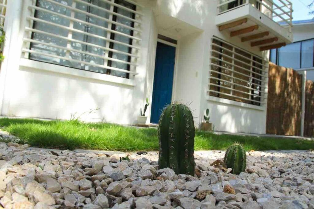 Casa Buda Liberia Cerca Del Aeropuerto Dış mekan fotoğraf